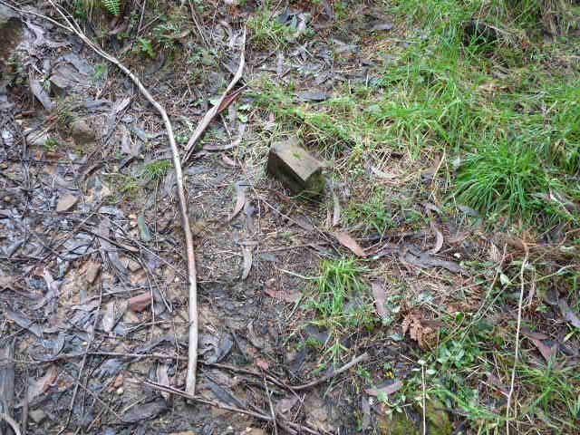 Brick found in the Gully, Katoomba